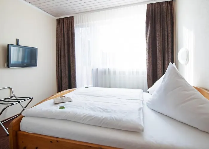 Klingerhof ホテル 3*