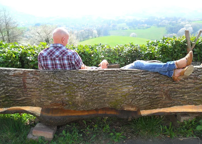 Отель Klingerhof 3*